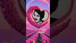 👑👑👑❤❤Ferdi Tayfur Yalan Gözlerin 🌹🌹🔥🔥