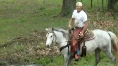 FOR SALE: SHEZ ALISA HANCOCK AQHA 5048965.wmv