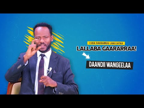 Lallaba Gaararraa Luba Garramuu Jaallataa Daandii Wangeelaa