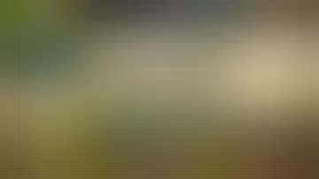 [No Root] Plants vs Zombies 2 V9.5.1 pp.dat/Android Save Game | Unlimited Gems,Coins,All Paid Plants