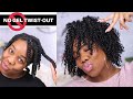 Updated Natural Hair Routine | 4c,4b,4a ULTRA DEFINE TWIST-OUT - NO GEL!!| LOC Method |Lovelyanneka