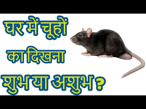 वीडियो: एक देश के घर में चूहों को डराने वाले पौधे