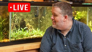 10 Gallon Tanks Amazing - Here are my reasons. Live Stream
π± Buy aquarium plants & supplies at https://www.aquariumcoop.com/collections/fish-food/products/magic-nano-feed
π¨ Sign Up for text alerts when we go live, release videos, and products. https://aquariumco-op.smsb.co/1x5pO9
I love community aquariums, it allows us to explore which fish will live together. Through trial and error some of the most fun Ive ever had with aquariums comes from experiment of will these fish live together? 10 Gallon Tanks Amazing - Here are my reasons. Live Stream