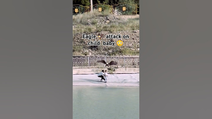 eagle 🦅 attack on child baby 😭 #attack #youtubeshorts #youtube #shorts #reels #viral
