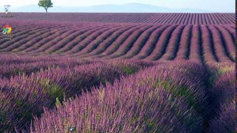 How To Remove pc-fix-quickk.com Pop-up Ads (Removal Guide)