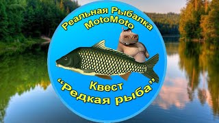 Квест \