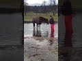 Januar 2018 - Capi nimmt sein erstes Bad! - Teil 4 von 4 Januar 2018 - Capi nimmt sein erstes Bad! - Teil 4 von 4