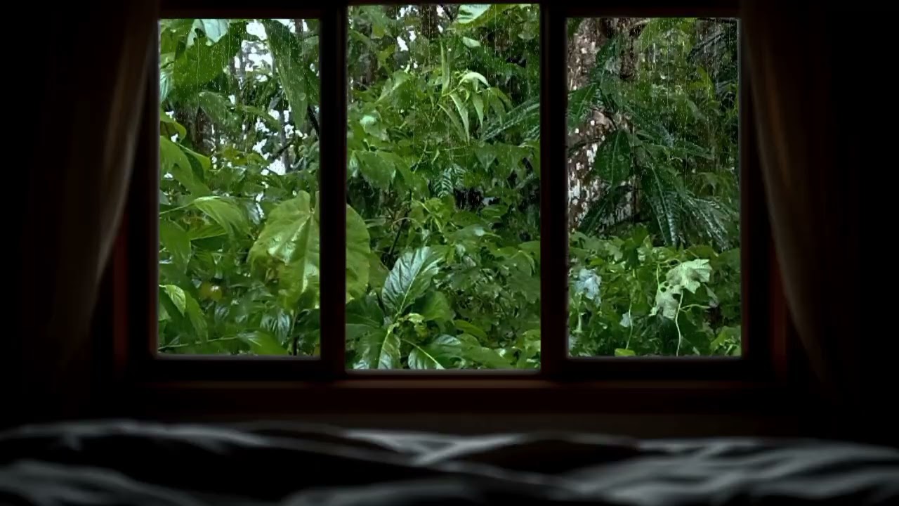 Rain on Window 🌧️ Soft Music for Sleep, Relax & Cozy Forest Ambience @Irfan_Rain03 