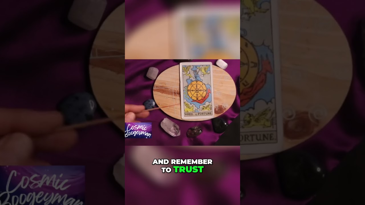 ✨ Tarot Pathways: Embrace the Quest for Knowledge #mrcosmic #SpiritualGuidance thumbnail