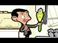 Bean's Parrot Friend | Mr Bean | Cartoons for Kids | WildBrain Kids