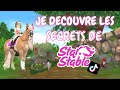 Je dcouvre des secrets et astuces sur star stable   tiktok