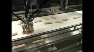 Frozen (IQF) Food Flow Wrapper Loading | JLS Automation