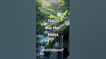 Dấu hiệu cô ấy đã tổn thương quá nhiều #doanducdong #shorts