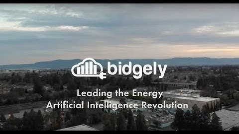 Bidgely Utility AI Video