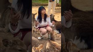 Nara Park Deer, Japan. Beauty Girl With Nara Deer