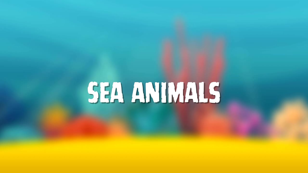 Learn About Sea Animals 🌊🐬 Fun Ocean Adventure for Kids 