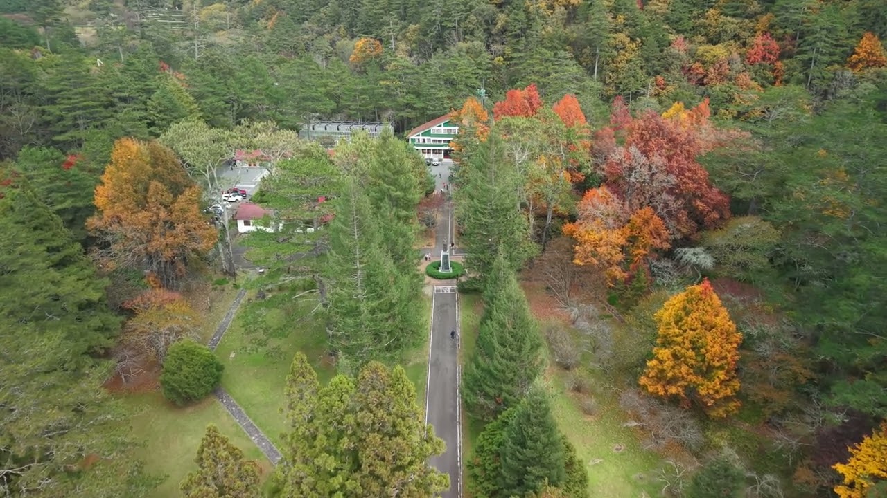 2025年12月的武陵農場空拍 4K｜Elian Vision Studio