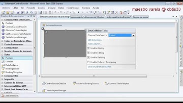 Tutorial VB2008 y Access: Datagrid y PrintForm - Parte 1/2