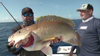 Florida Sport Fishing TV | Deep Drop Dreams | Free Preview | MyOutdoorTV