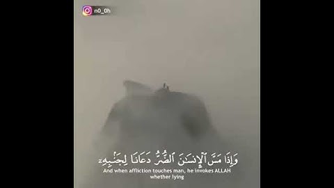 #تلاوات #ماهر_المعيقلي #ياسر_الدوسري #ناصر_القطامي #السديس #خالد_الغامدي(22)