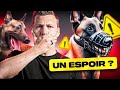 Quand un malinois devient incontrlable   sos educ dog episode 4