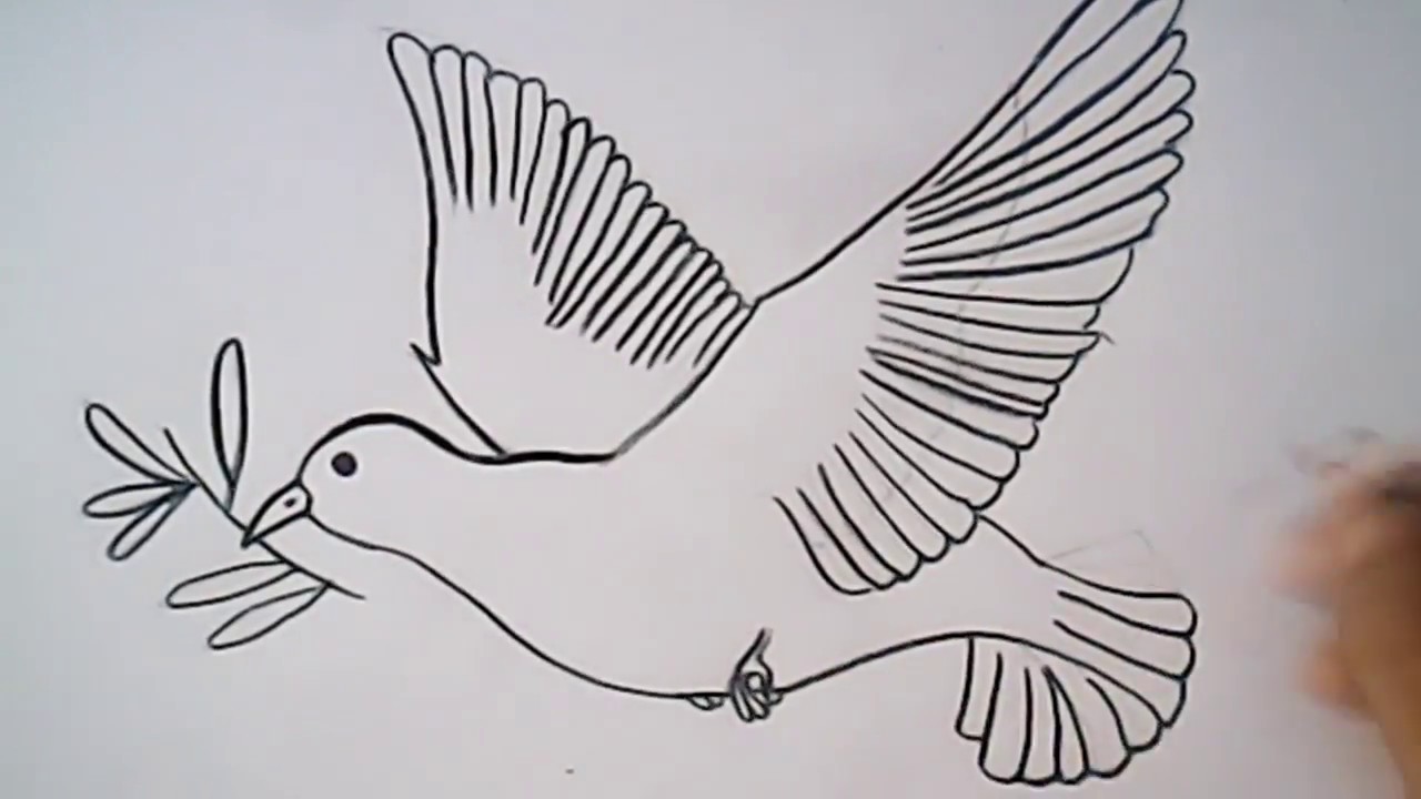 Como dibujar una paloma? (NIVEL: medio) | HD - thptnganamst.edu.vn