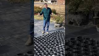 How Much Is A 100 Square Foot Plant Nursery Worth?