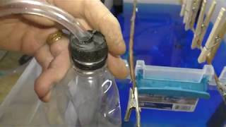 Transfer liquid using a water bottle syphon