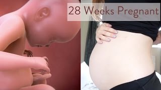 28 Weeks Pregnant: What You Need To Know - Channel Mum