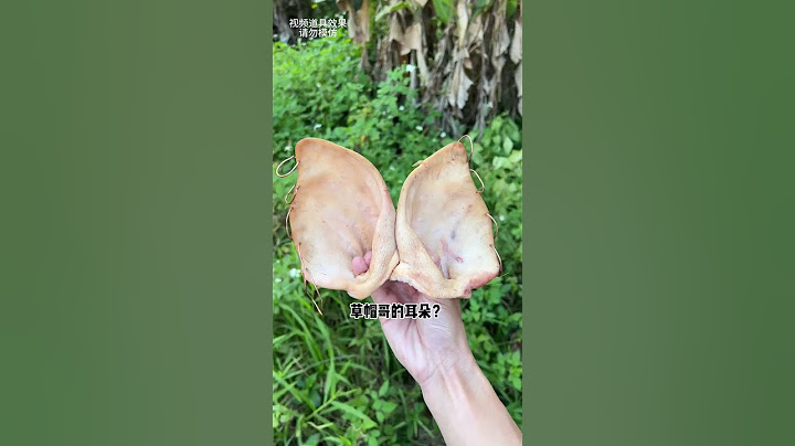 Straw Hat Has Pig Ears? |Chinese Mountain Forest Life And Food #Moo Tiktok #Fyp