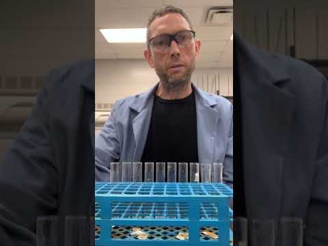 Video: Hvordan laver man ammoniumsulfatudfældning?