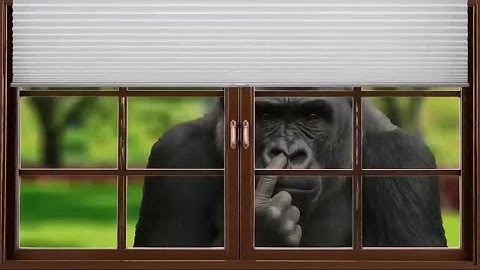 Immersive interactive warm-up 