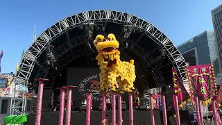 Happy lunar new year 2024! Lion dance performance on the second day of the year of the dragon.