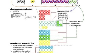 Abhidhamma V - the Cognitive Series