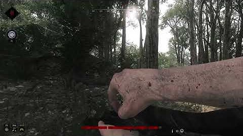Hunt Showdown: Martini-Henry reload bug