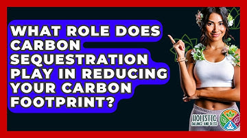 What Role Does Carbon Sequestration Play In Reducing Your Carbon Footprint?