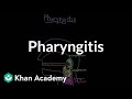 Understanding Pharyngitis