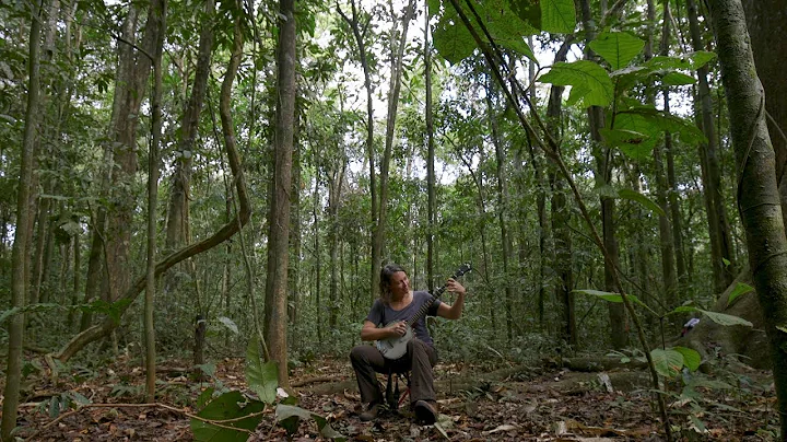Sharon Martinson: Science meets music