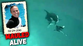 HORRIFYING Footage of Killer Whale Fatally Mauling Trainer Dawn Brancheau