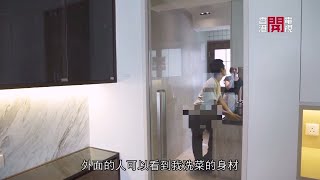 兩公婆住 313 呎 透明廚房倍添情趣 無房變一房靠玻璃趟摺門 -《夠細奇則》EP12-2- 細單位室內設計