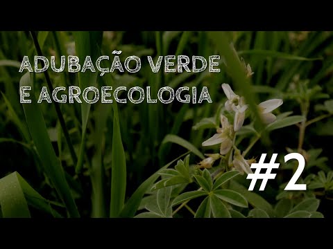 Vídeo: O que são adubos verdes e por que eles são necessários? Quando semear e quando cobrir o adubo verde