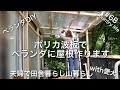 【田舎暮らし】#68 ベランダ屋根作り③ポリカ波板取り付けます。