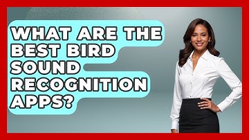 What Are The Best Bird Sound Recognition Apps? - Bird Watching Diaries