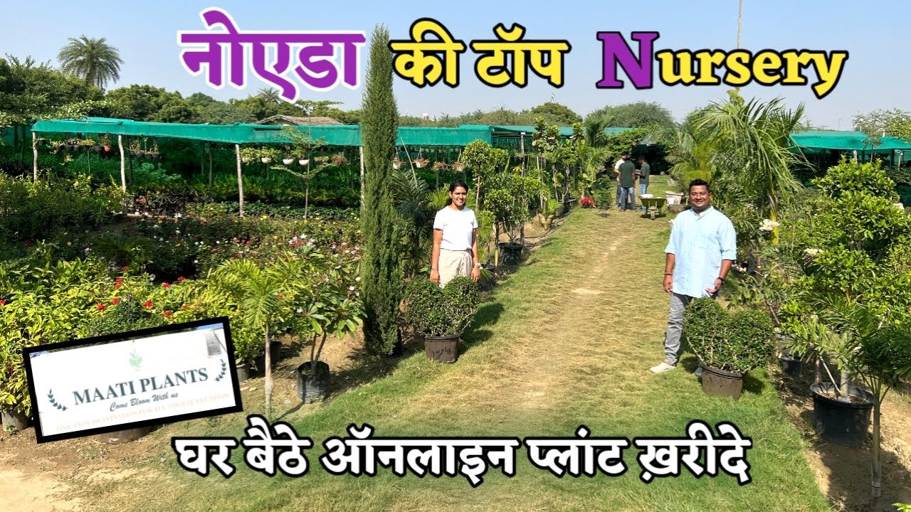 ये हैं सबसे जबरदस्त Noida की नर्सरी MAATI PLANTS Nursery दूर दूर से लोग आते हैं पौधे खरीदने