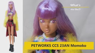 ◆PetWORKs CCS-momoko（Dorothy）momoko PetWORKs 2022 MOMOKO CCS 22AN 11