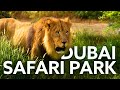 Dubai Safari Park Full / number 1 zoo / Must visit Place in dubai [rathzandsowz]