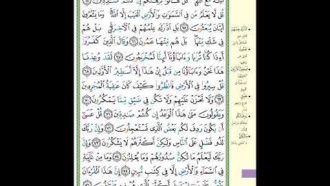 الصفحة 383 من المصحف الشريف  سورة النمل   مشروع حفظ القرآن الكريم