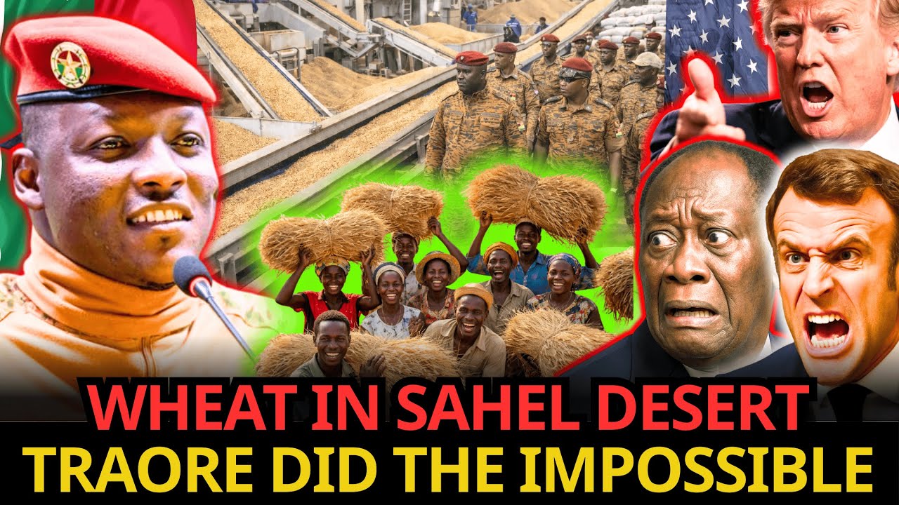IMPOSSIBLE? Wheat Now GROWS in the Sahel Desert of Burkina