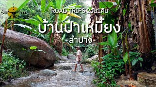 เที่ยวบ้านป่าเหมี้ยง นอนโฮมสเตย์​ริมสายน้ำกลางหุบเขา ลำปาง | รันจวน | Paa Meang Village