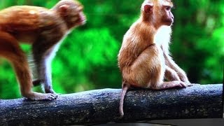 A look at Samsung's H8000 curved 1080p television